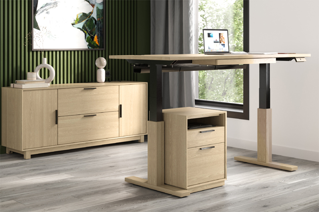 home office collections