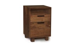 Linear Narrow File with Cubby